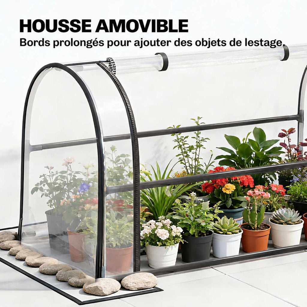 Housse de mini serre amovible posée au sol sur plusieurs plantes en pots