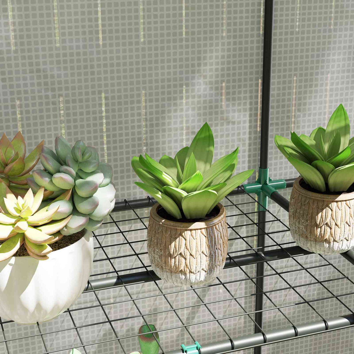 Plantes grasses sur une tablette grillagée de la serre