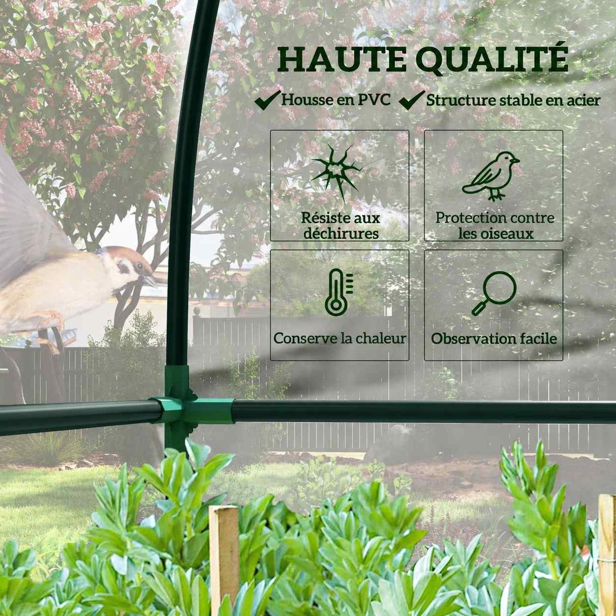 Détail de la housse transparente et d’un raccord de la serre adossée
