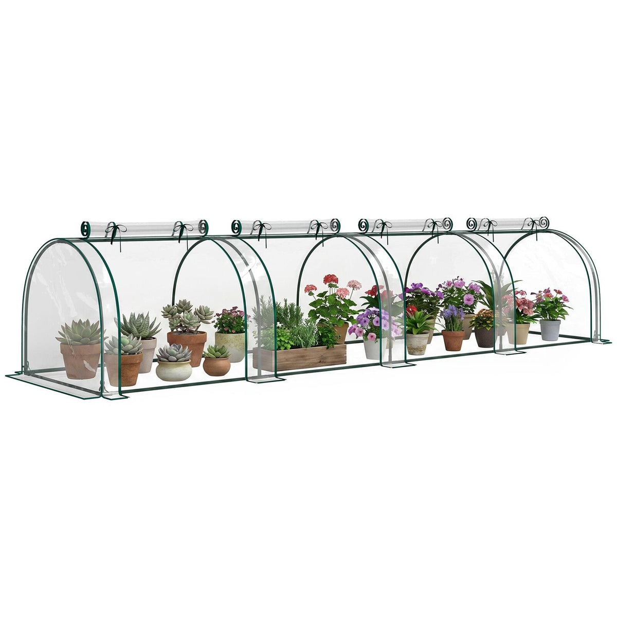 Mini serre tunnel transparente abritant plusieurs plantes en pots