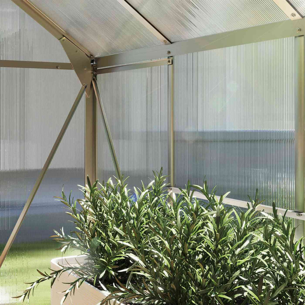 Détail intérieur d’un angle supérieur de la serre argentée avec plantes
