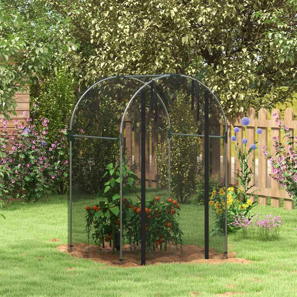 Cage fruitière noire protégeant des plantes au jardin