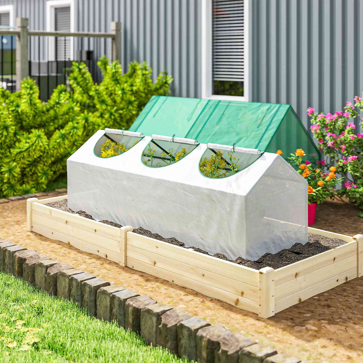 Mini serre blanche dans un bac potager en bois, une partie de la housse relevée