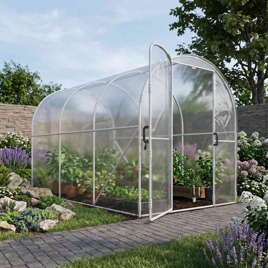 Serre transparente avec plantes le long d’une allée
