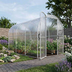 Serre transparente avec plantes le long d’une allée