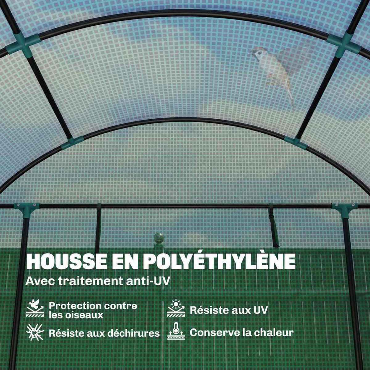 Détail intérieur de la housse verte et de l’armature de la serre tunnel