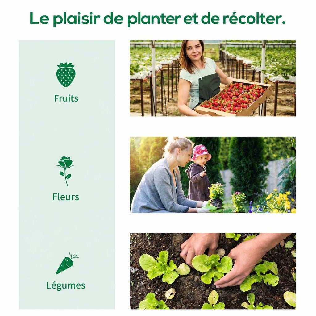 Scènes de récolte et de plantation au jardin