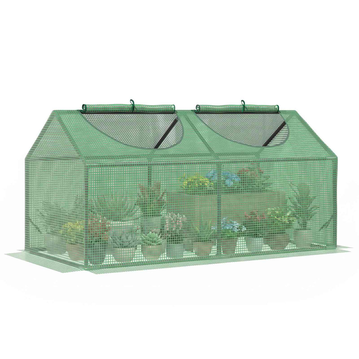Mini-serre verte à deux ouvertures avec plantes en pots