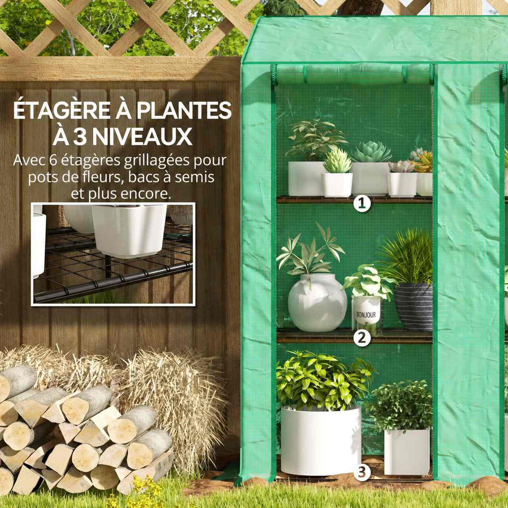 Plantes en pots sur trois niveaux de la serre verte
