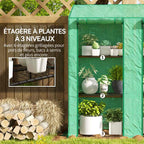 Plantes en pots sur trois niveaux de la serre verte