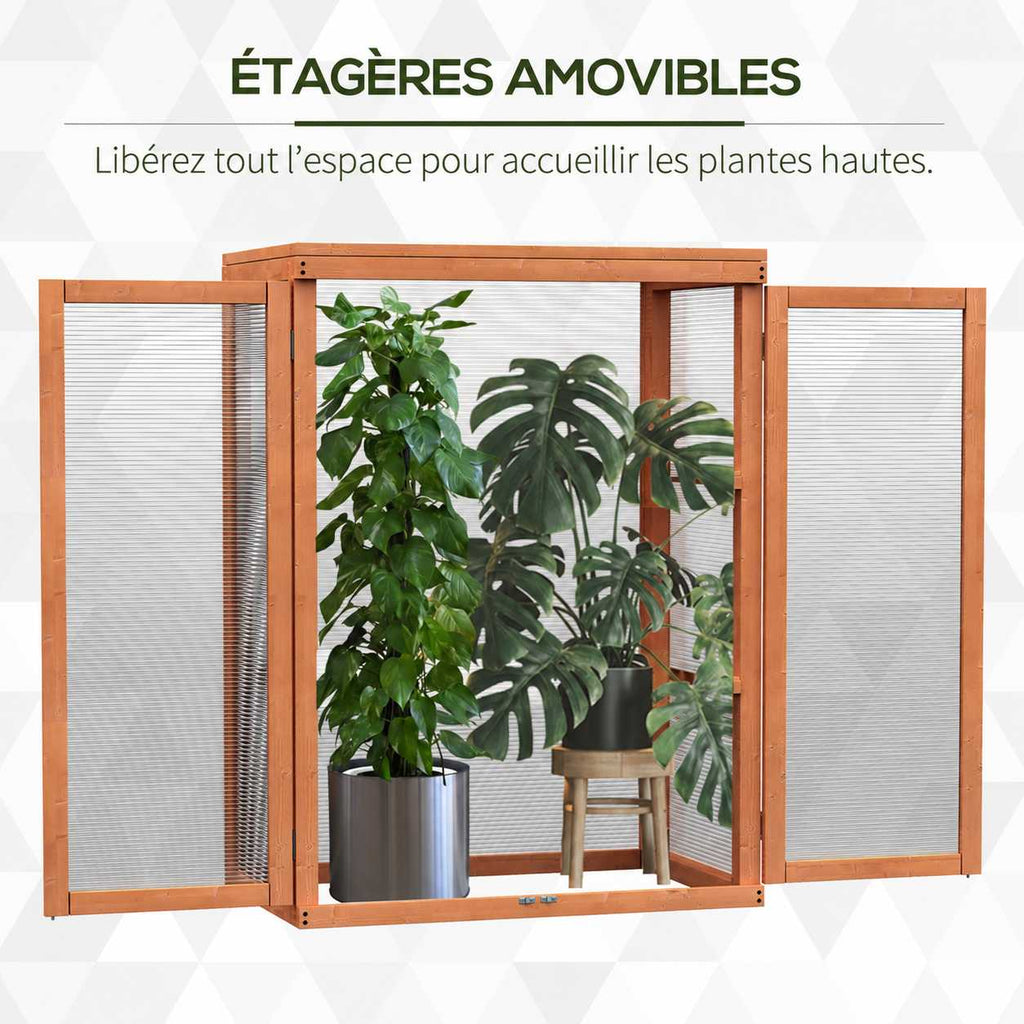 Serre en bois sans étagères pour accueillir une grande plante