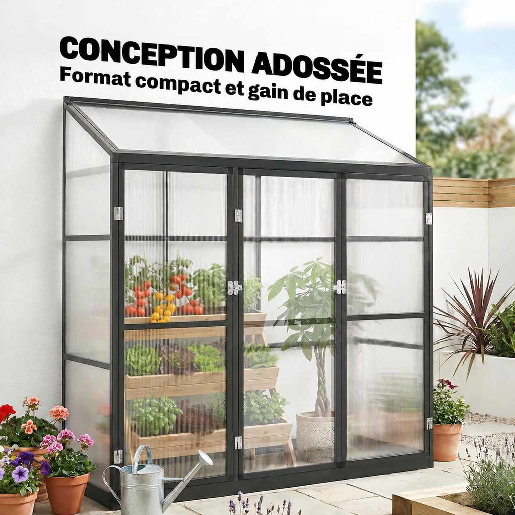 Serre adossée noire contre un mur avec plantes à l’intérieur