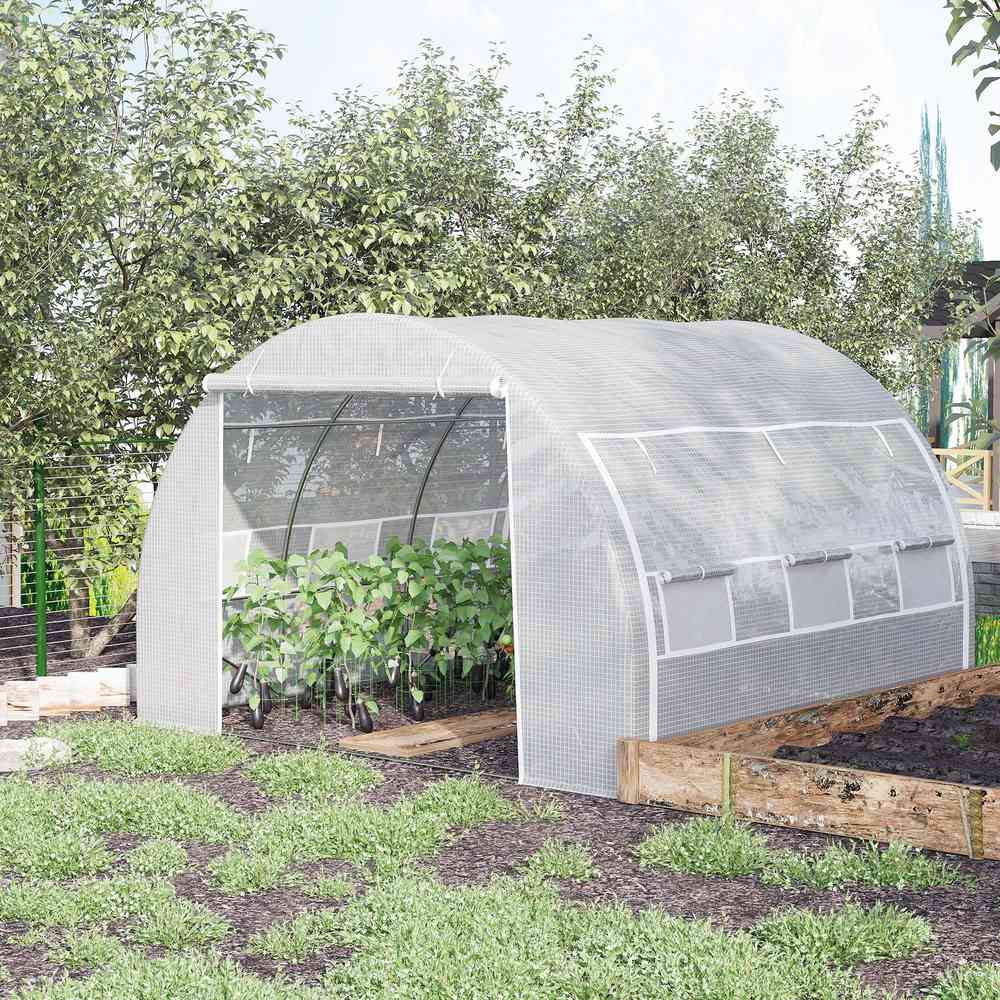 Serre tunnel blanche avec cultures près d’un potager