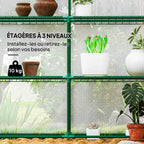 Détail de trois niveaux de tablettes avec plantes en pots