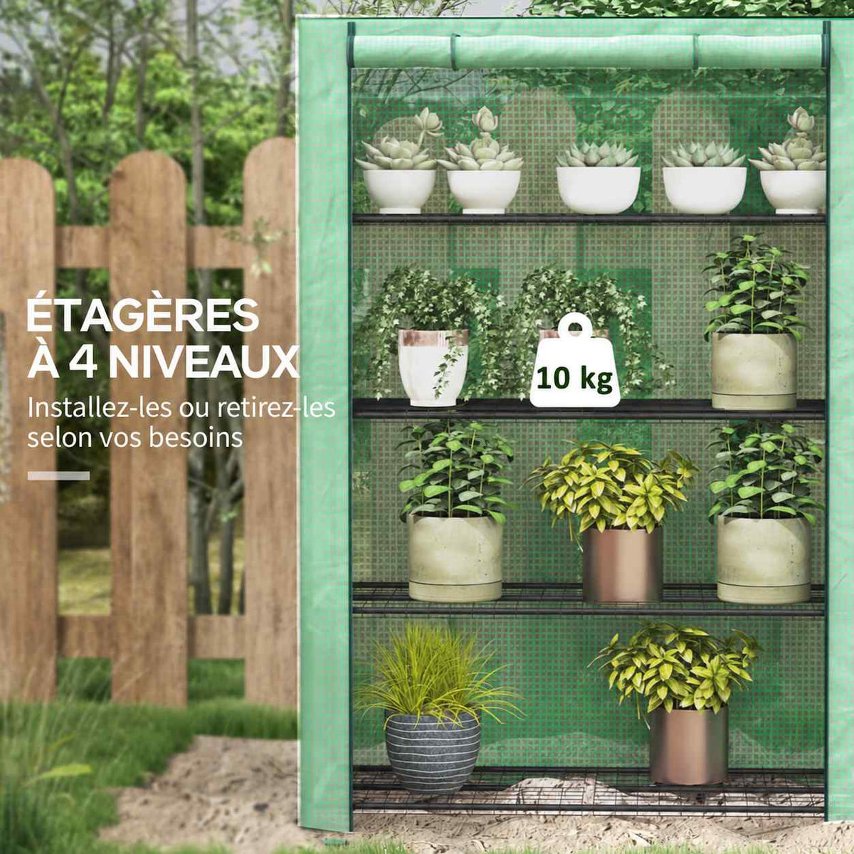 Quatre étagères de plantes dans la serre verte