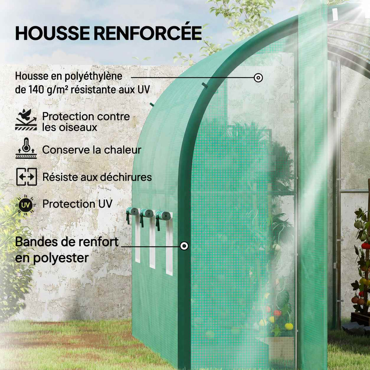 Détail de la housse verte et des bandes de renfort de la serre tunnel