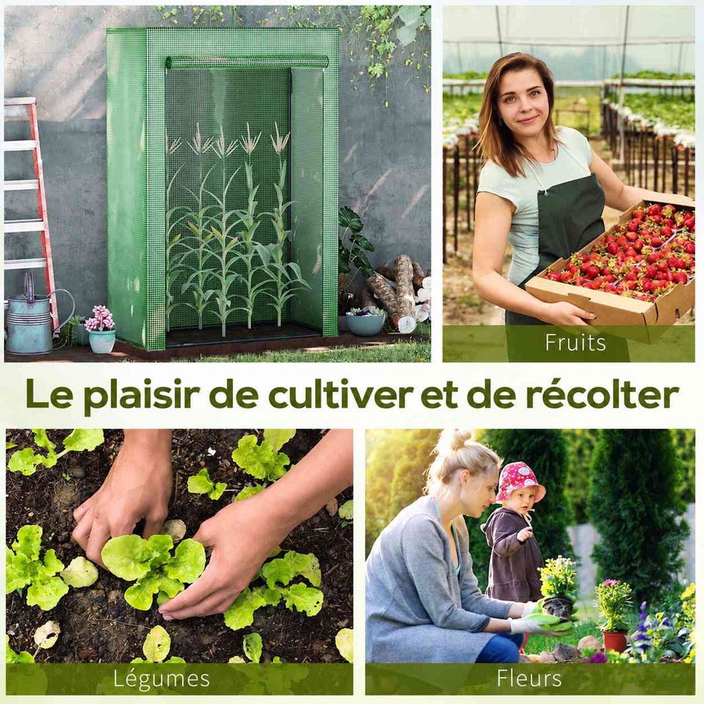 Serre à tomates et exemples de fruits, légumes et fleurs