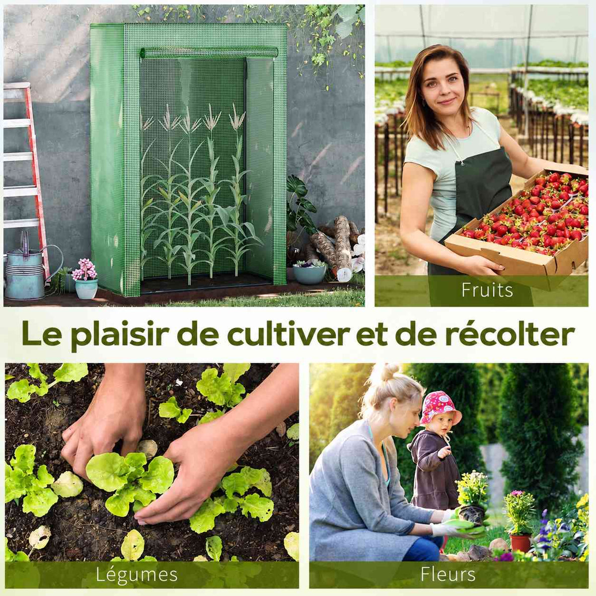 Serre à tomates et exemples de fruits, légumes et fleurs