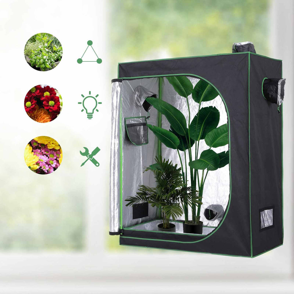 Chambre de culture ouverte avec grandes plantes et intérieur réfléchissant