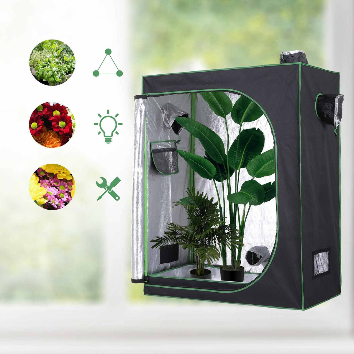 Chambre de culture ouverte avec grandes plantes et intérieur réfléchissant