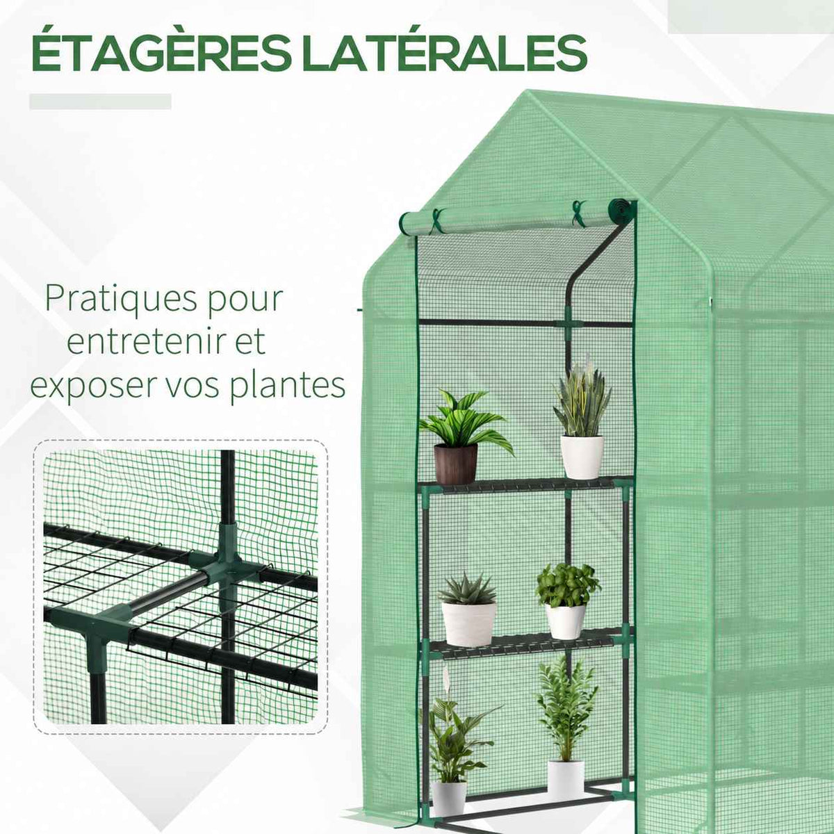 Étagères latérales de la petite serre verte avec plantes en pots
