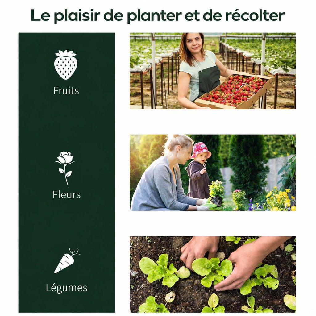 Exemples de cultures de fruits, fleurs et légumes sous mini-serre