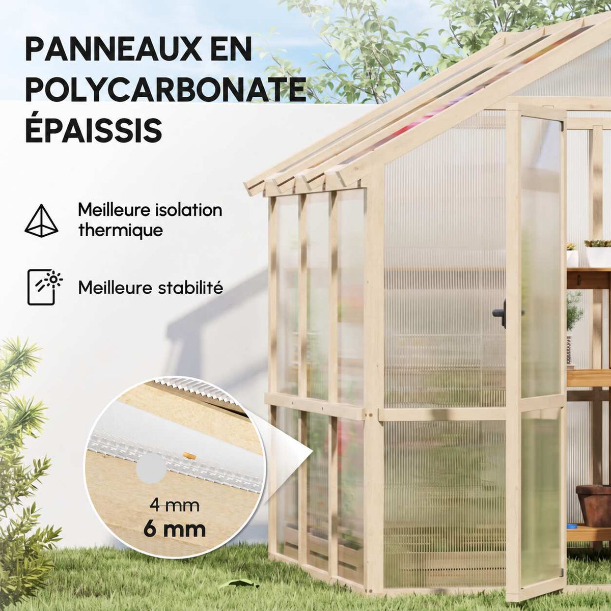 Serre en bois avec détail de l’épaisseur des panneaux de polycarbonate