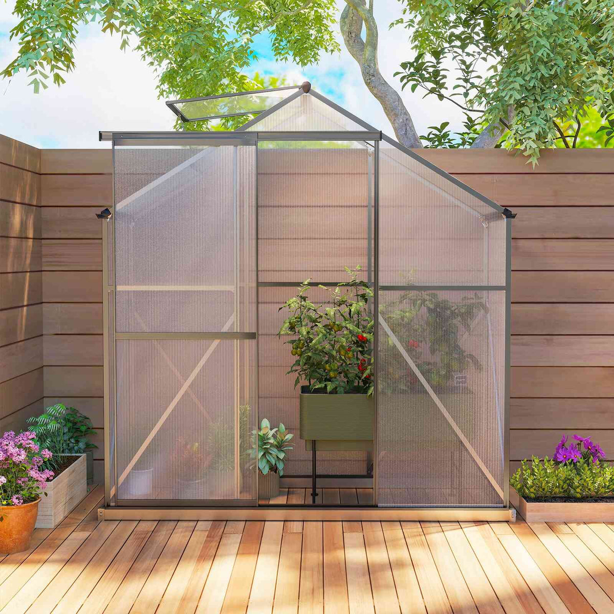 Serre étroite sur une terrasse, porte ouverte et plantes à l’intérieur