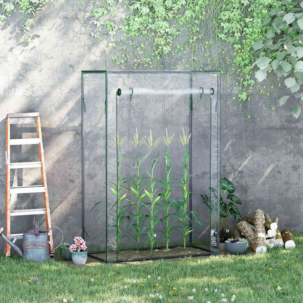 Serre à tomates transparente contenant des plants devant un mur