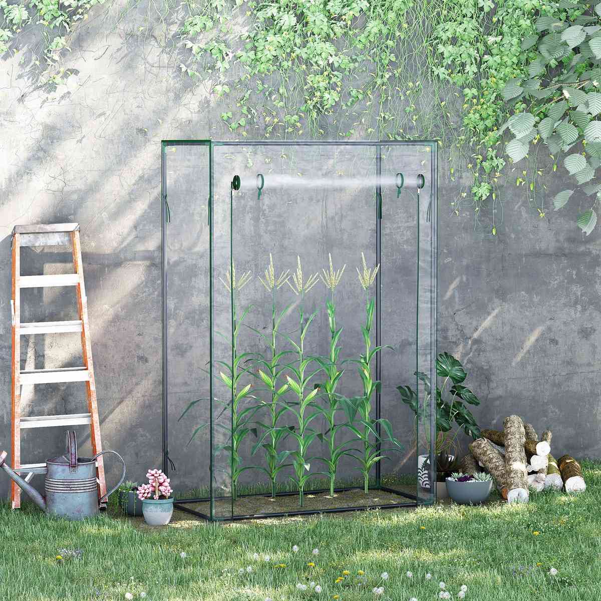 Serre à tomates transparente contenant des plants devant un mur