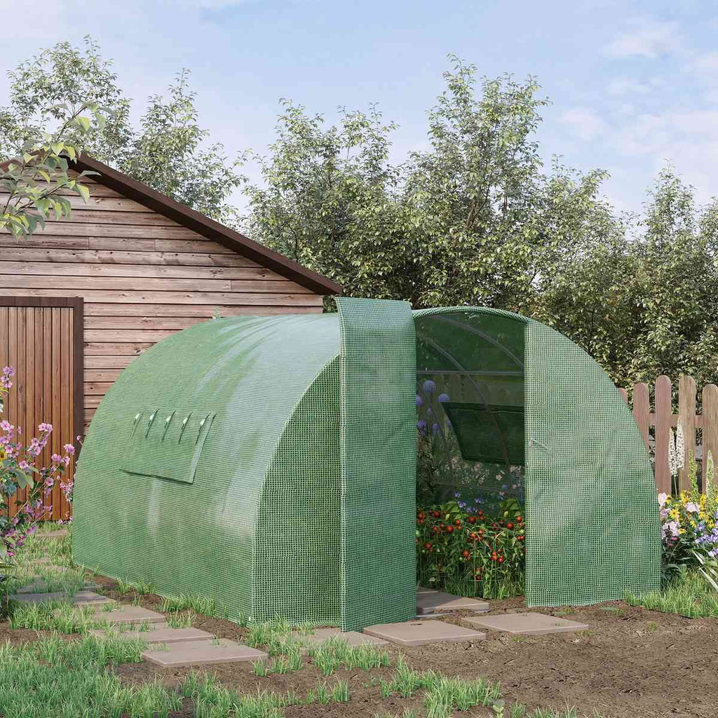 Serre tunnel verte avec plantes devant un abri de jardin