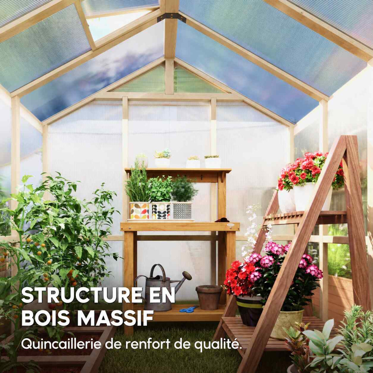 Vue intérieure de la serre en bois avec plantes sur étagères