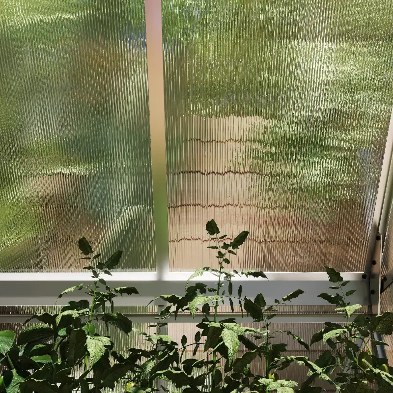 Vue intérieure d’un panneau translucide de la serre avec plantes au premier plan