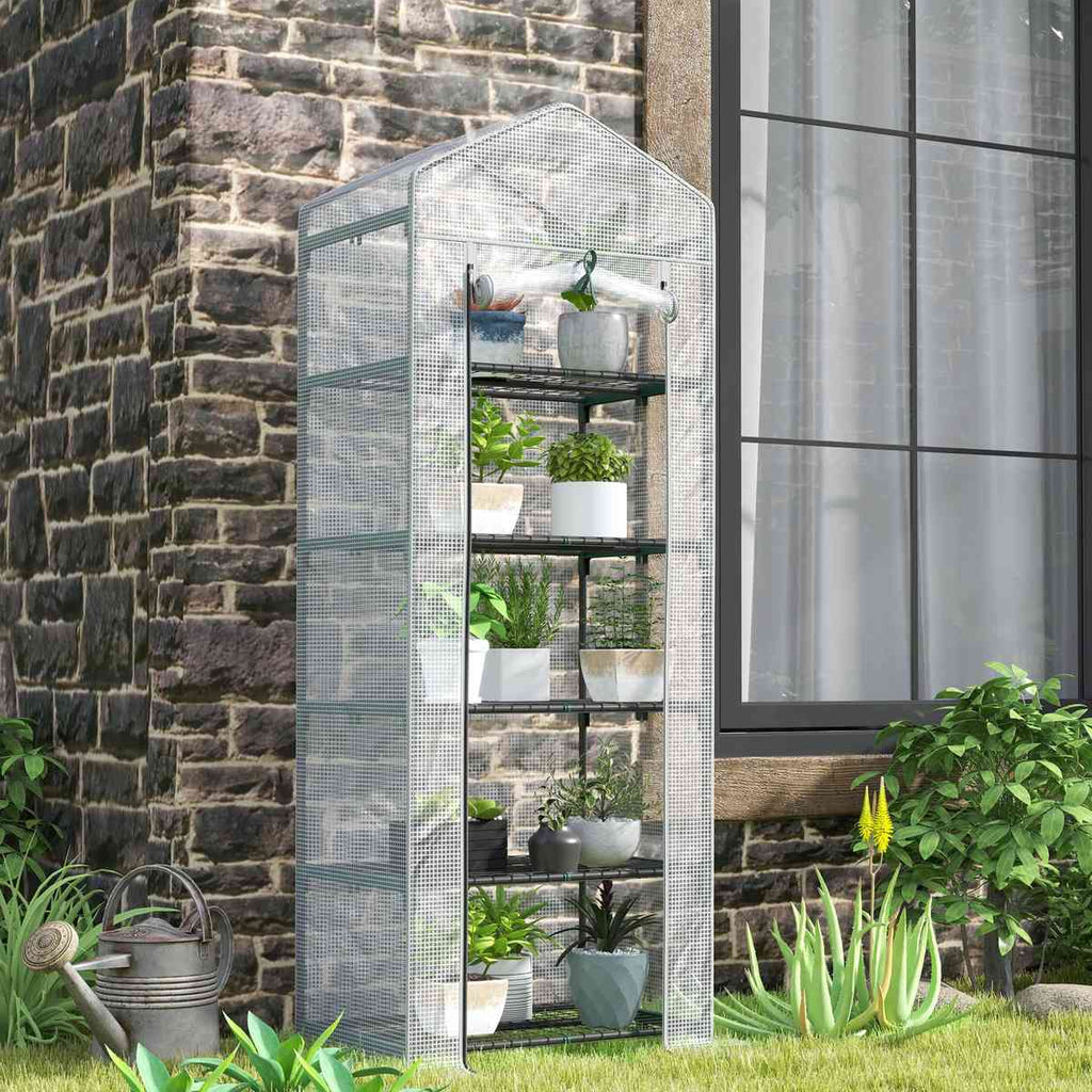 Mini serre transparente avec plantes près d’un mur en pierres