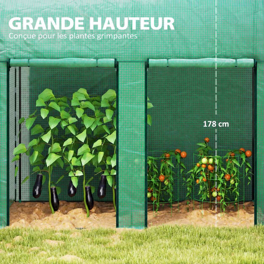 Aubergines et tomates sous une serre verte