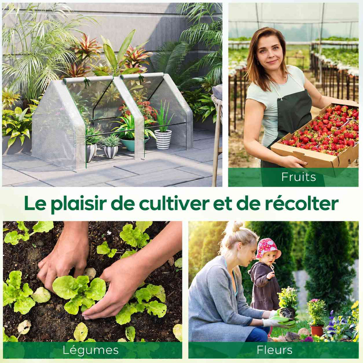 Mini-serre et exemples de cultures de fruits, légumes et fleurs