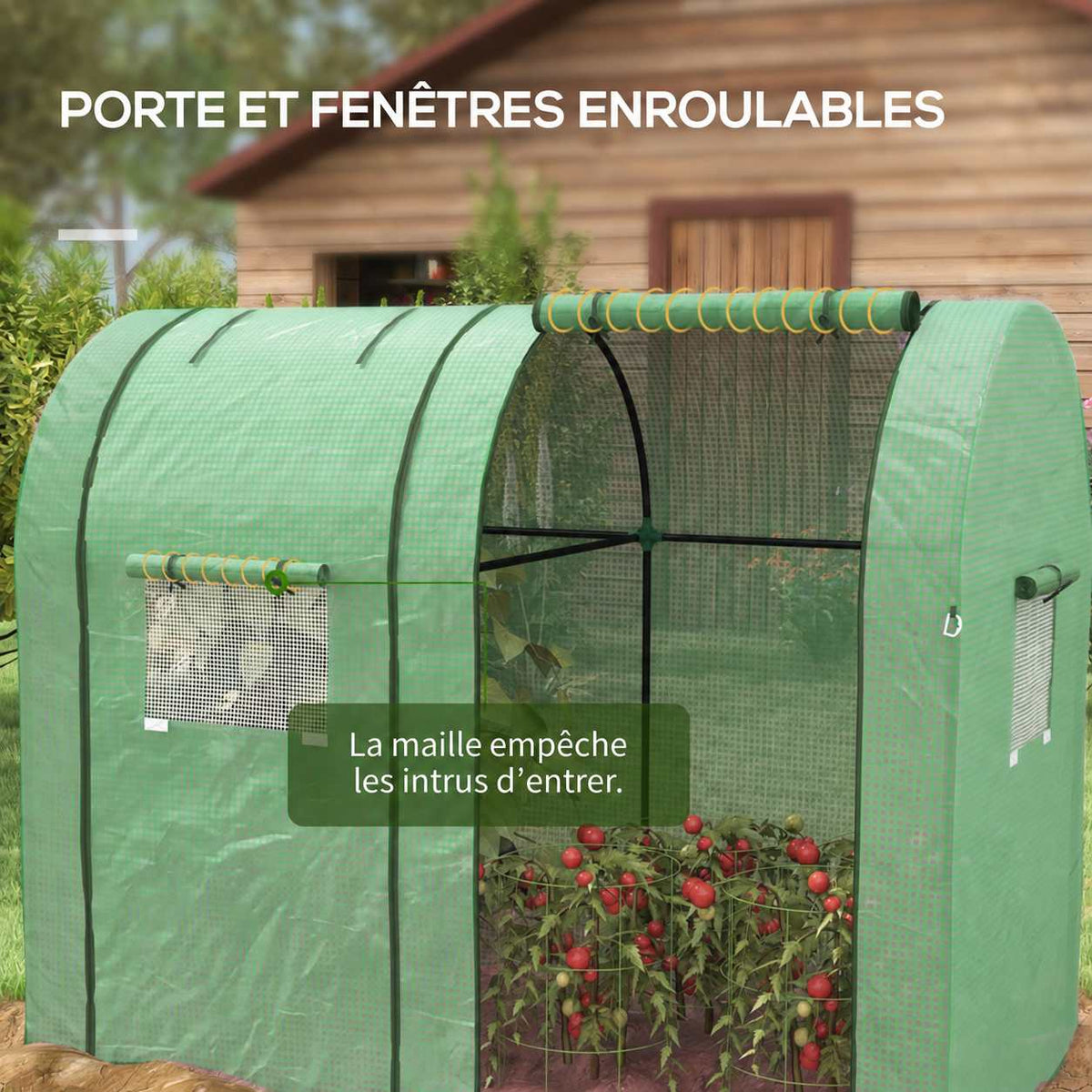 Détail d’une porte enroulée et des fenêtres de serre