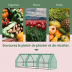 Mini-serre verte et exemples de légumes, fleurs et fruits à cultiver