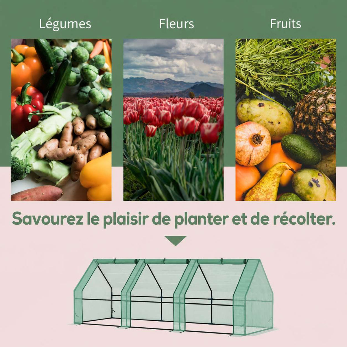 Mini-serre verte et exemples de légumes, fleurs et fruits à cultiver