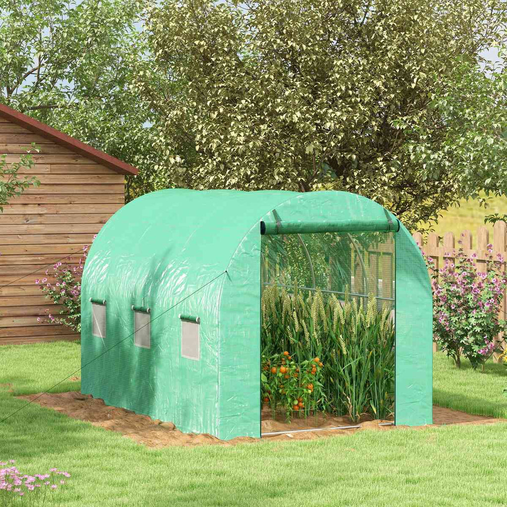 Serre tunnel verte avec cultures près d’un abri en bois