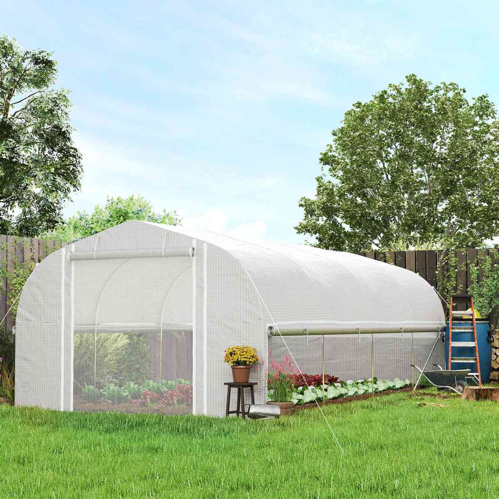 Grande serre tunnel blanche avec paroi latérale relevée dans le jardin
