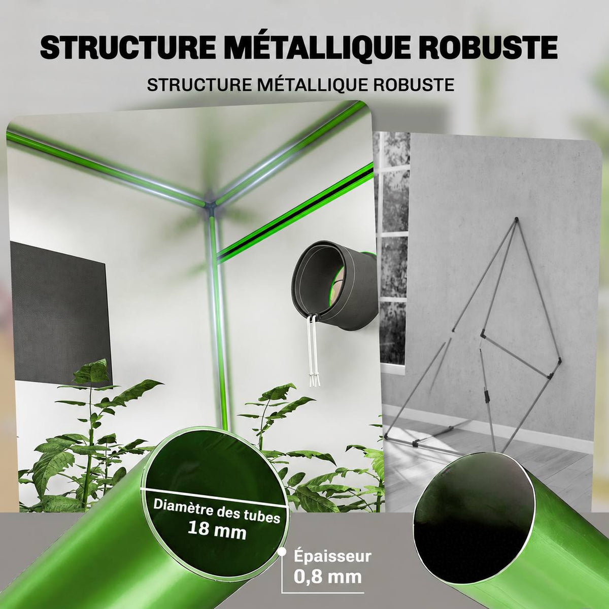 Détails de l’armature métallique et des tubes verts de la chambre de culture