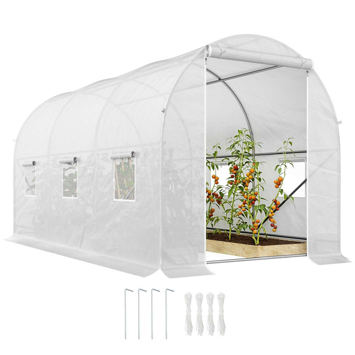 Serre tunnel blanche ouverte avec plants de tomates et piquets fournis