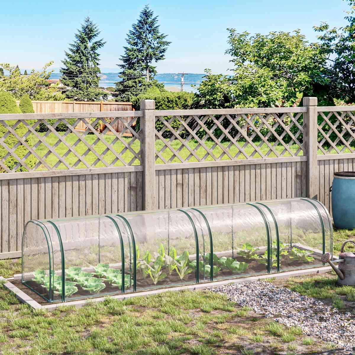 Mini serre tunnel transparente protégeant une rangée de jeunes plants au jardin