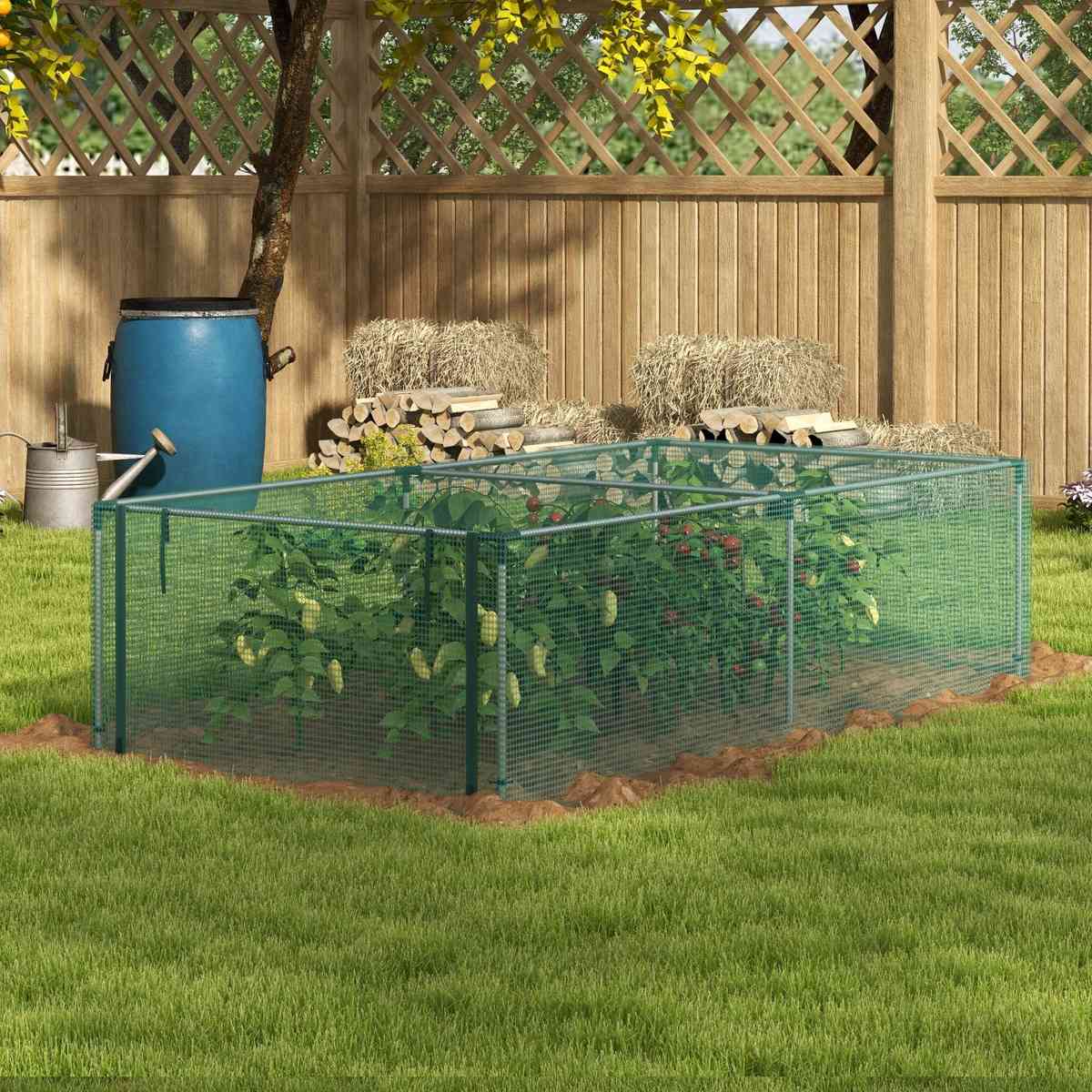 Cage basse verte protégeant des cultures au jardin