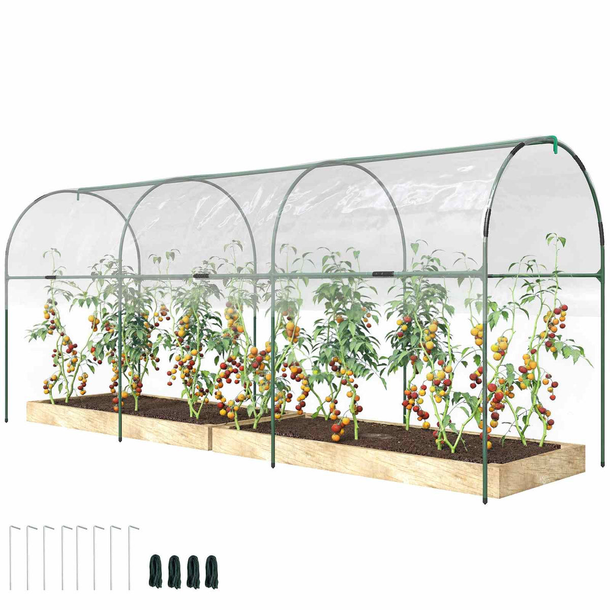 Abri à tomates présenté avec piquets et capuchons