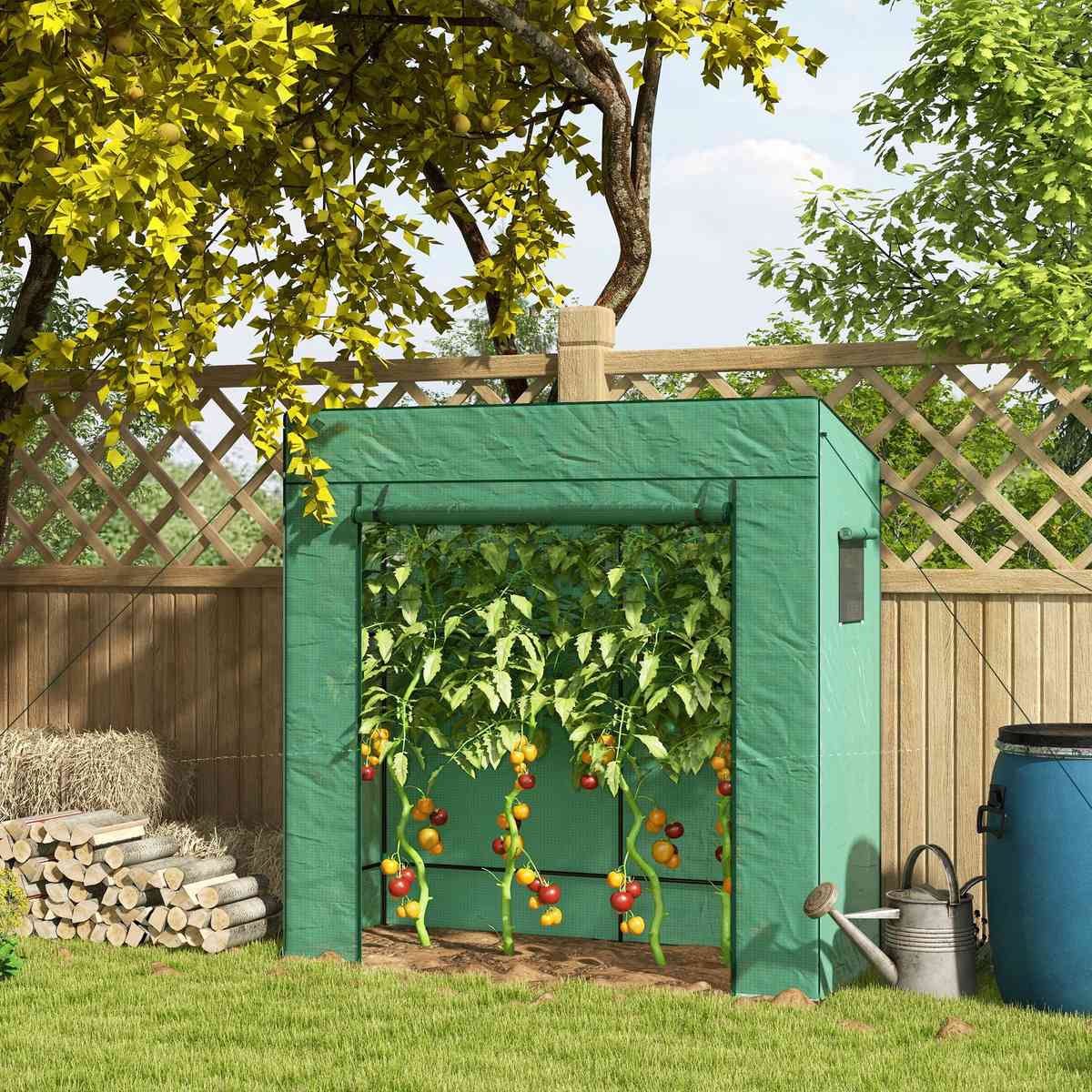 Serre verte avec tomates près d’un treillage en bois