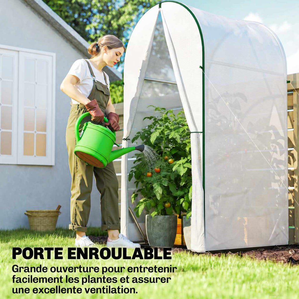 Femme arrosant des plants de tomates devant la petite serre blanche ouverte