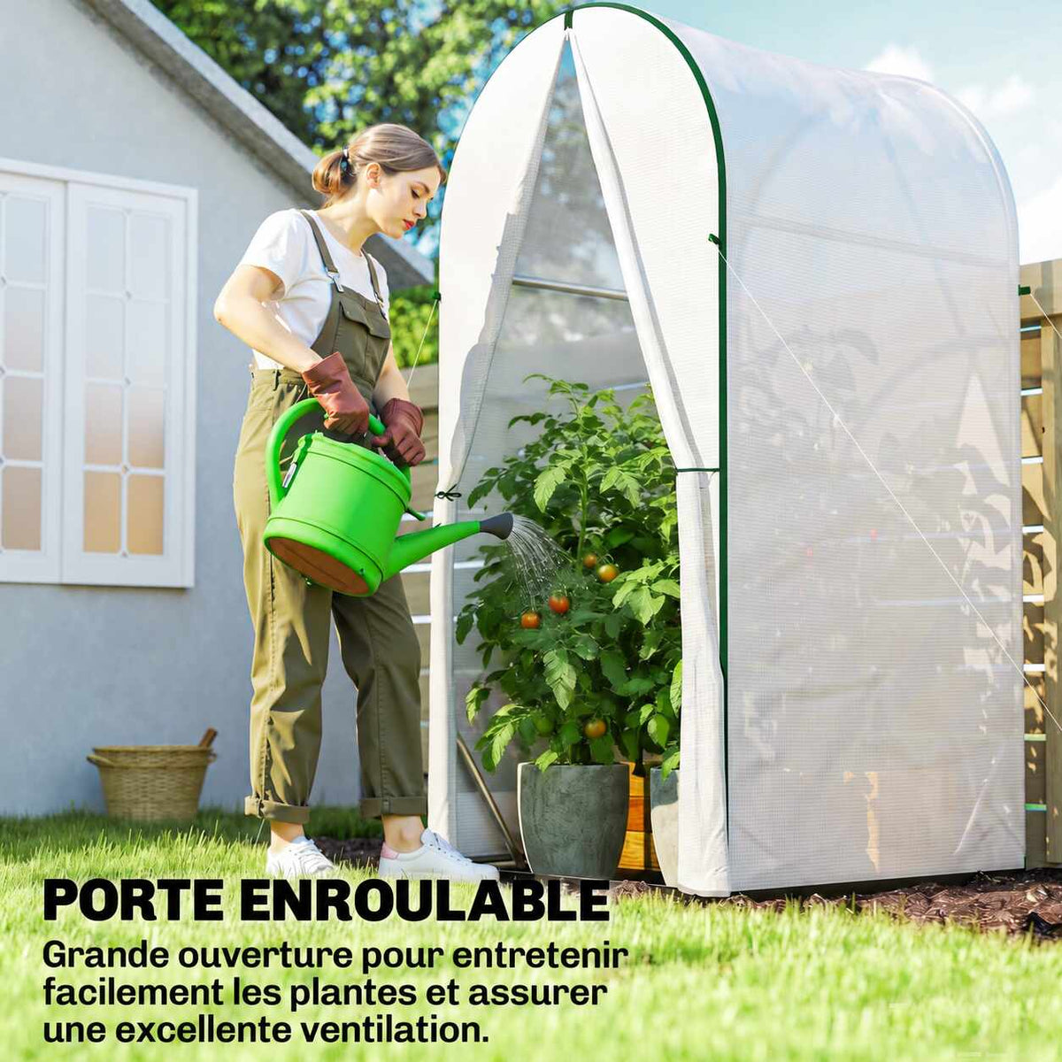 Femme arrosant des plants de tomates devant la petite serre blanche ouverte
