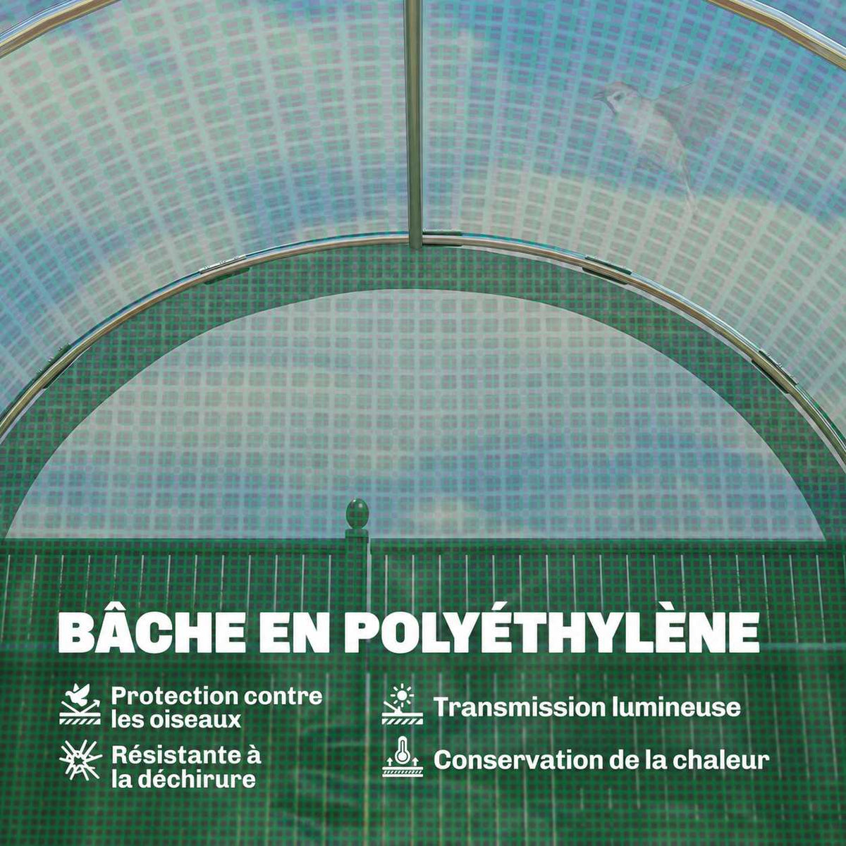 Détail intérieur de la housse verte et des arceaux de la serre tunnel